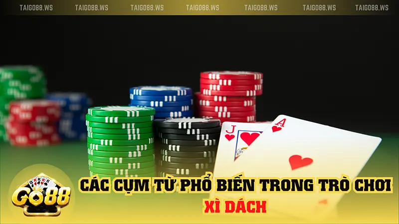 cac cum tu pho bien trong xi dach Tìm hiểu sự khác biệt giữa Xì Bàn và Xì Dách