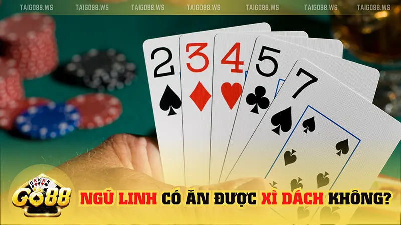 Bí mật của ngũ linh trong xì dách 2 ngu linh co an duoc xi dach khong Bí mật của ngũ linh trong xì dách