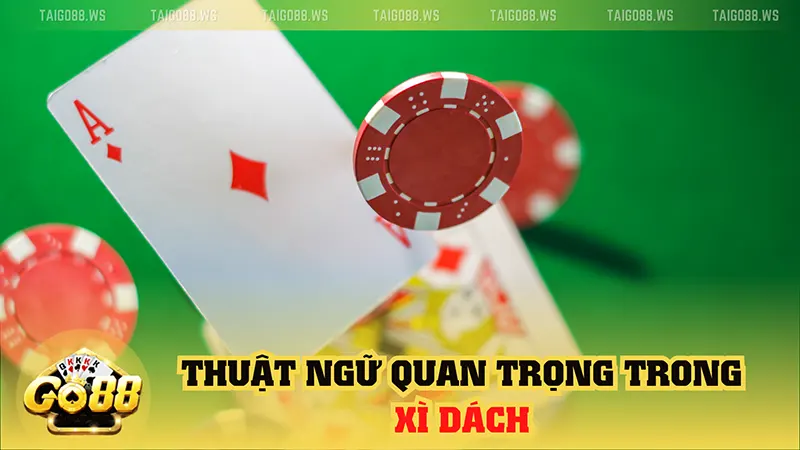 Xì dách là gì? Bí quyết chơi xì dách hiệu quả cho người mới 3 thuat ngu quan trong trong xi dach Xì dách là gì? Bí quyết chơi xì dách hiệu quả cho người mới